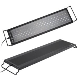 Day mode light for fish tank