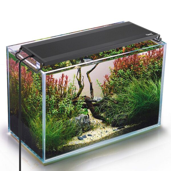 Aquarium Fish Tank Light Night Mode