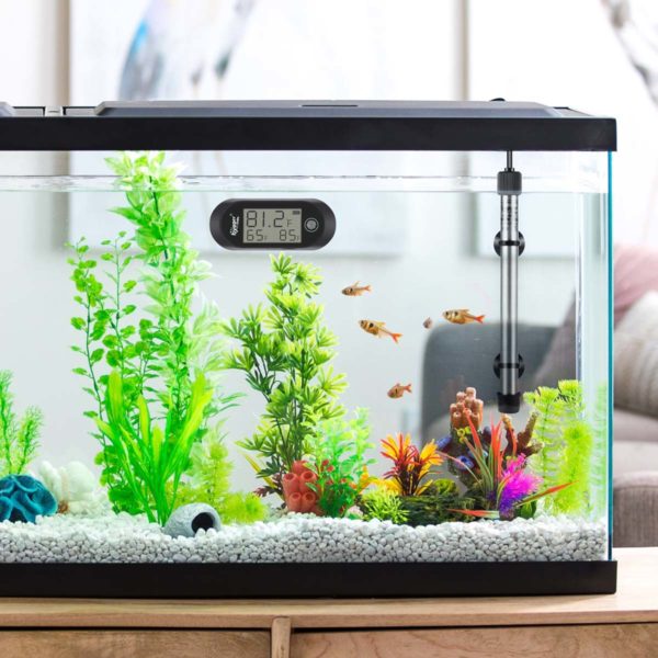 Stick Aquarium Thermometer on Fish Tank