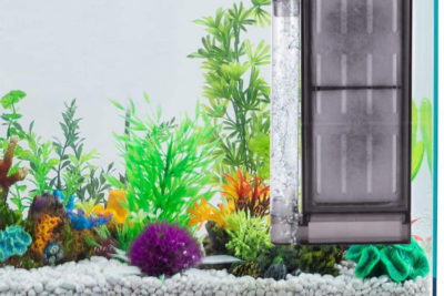 How to Clean Fish Tank Filter