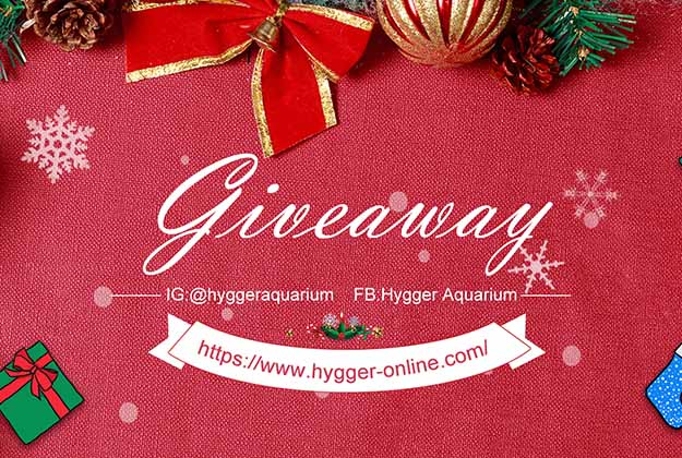 hygger Christmas sale