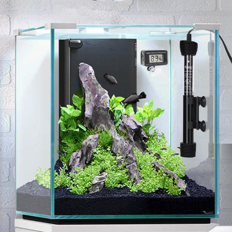 Wholesale Digital Mini LCD Aquarium Digital Aquarium Thermometer