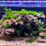 Hidden Aquarium LED Light