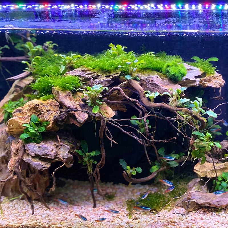 Waterproof light on sale for aquarium