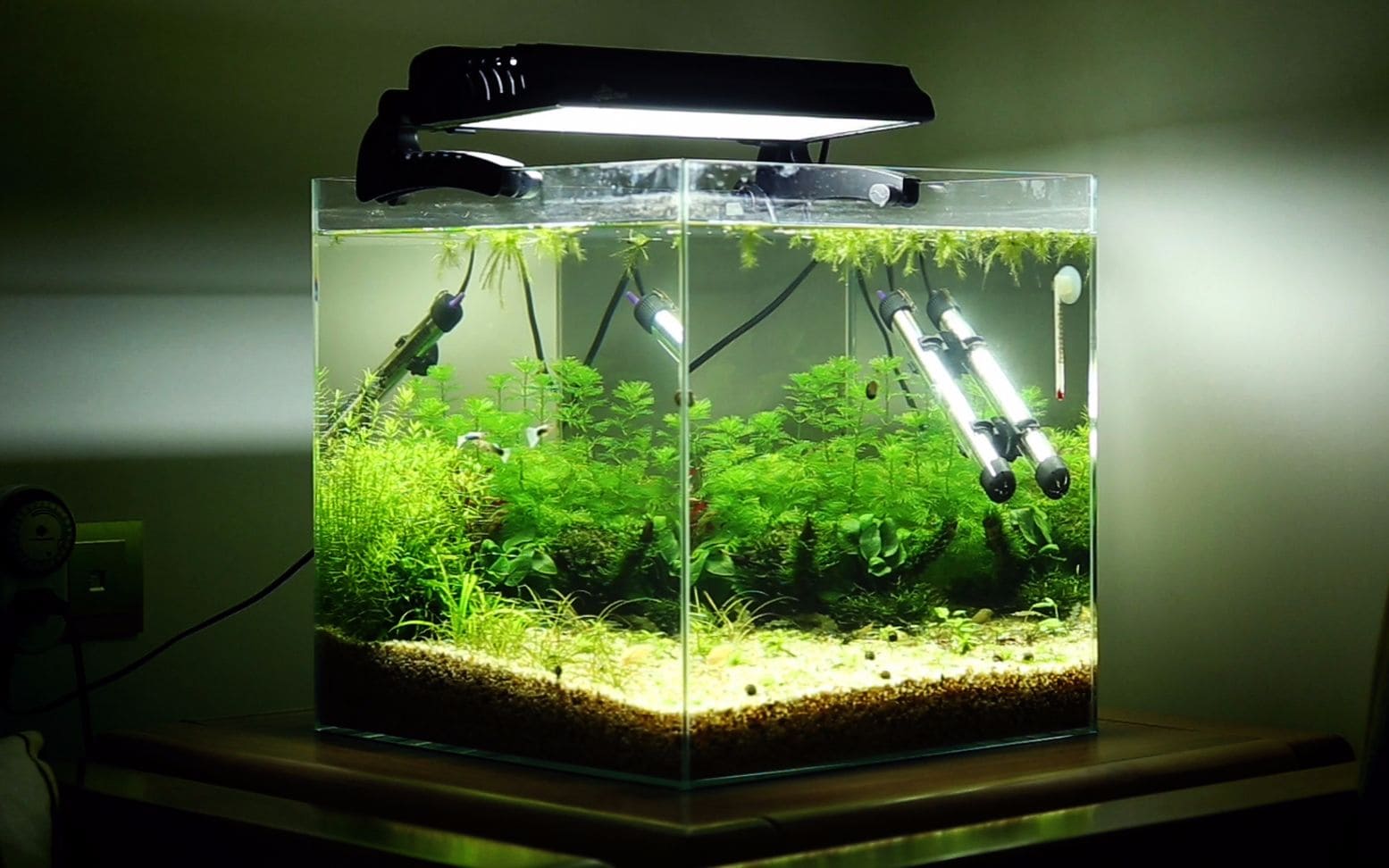 Set up fish tank
