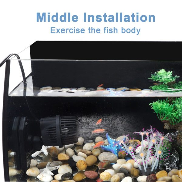 Waves to Exercise Fish Body by Middle Install