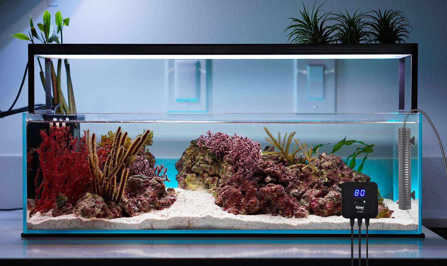 Fish tank heater light not on sale on
