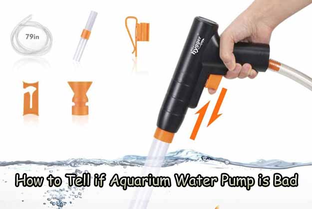 How to Tell if Aquarium Water Pump is Bad