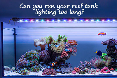 Can You Run Reef Tank Lighting Too Long