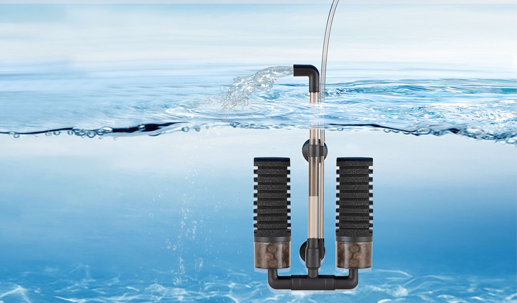 Can Filtered Drinking Water Be Used in Aquariums Hygger