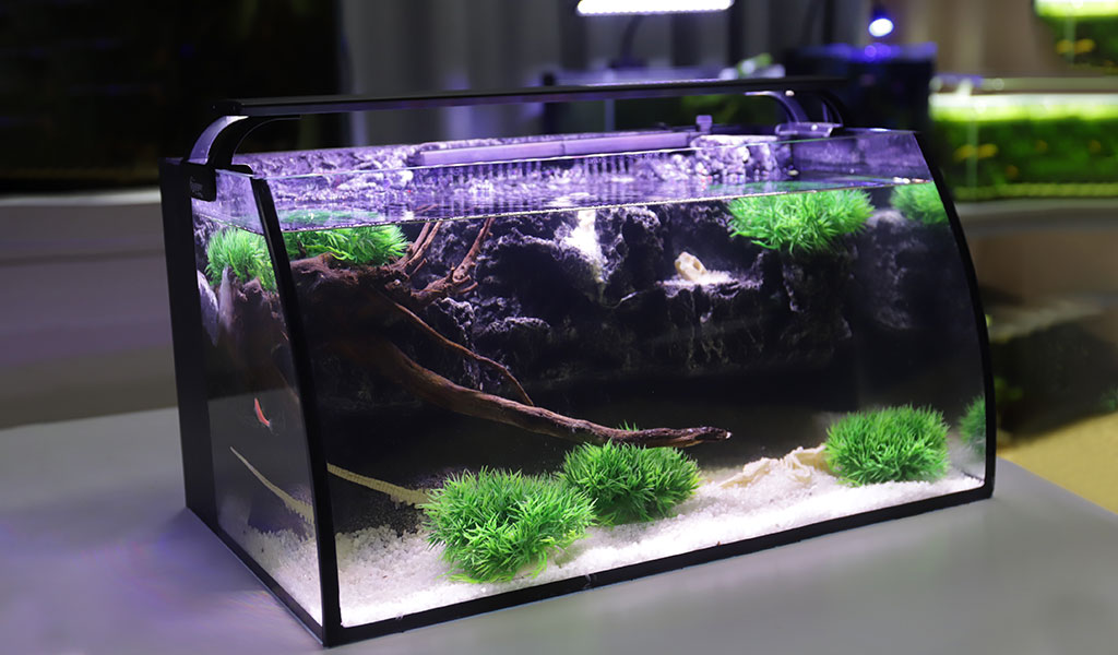 light for deep fish tank
