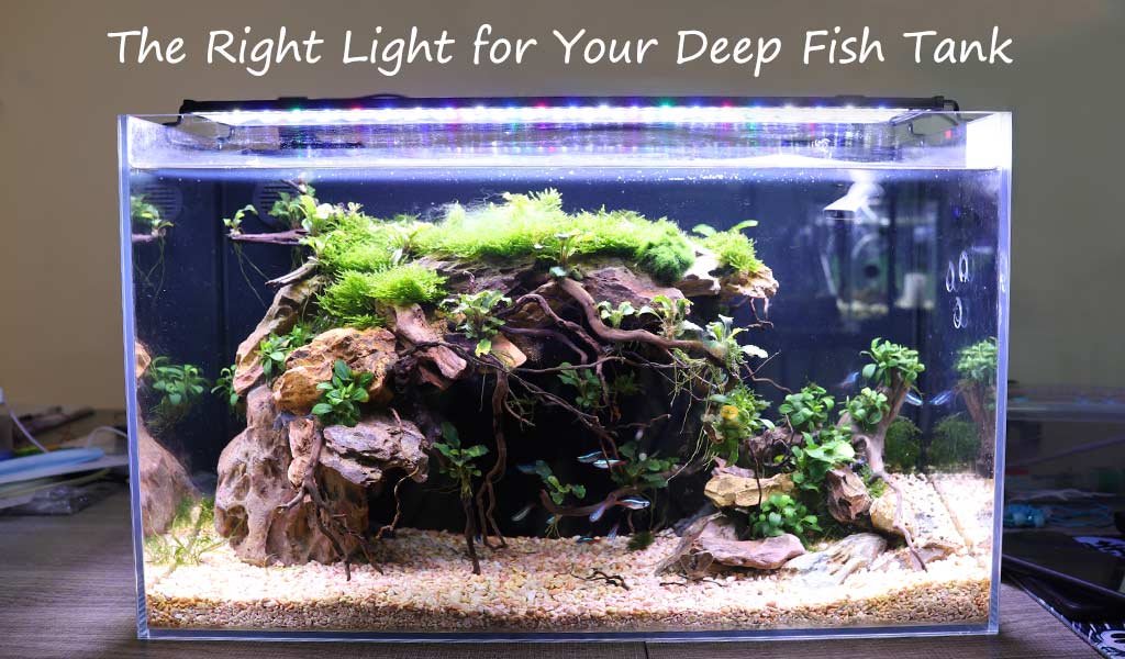 Light Your Deep Fish Tank -