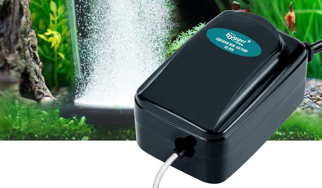 air pump do in aquarium