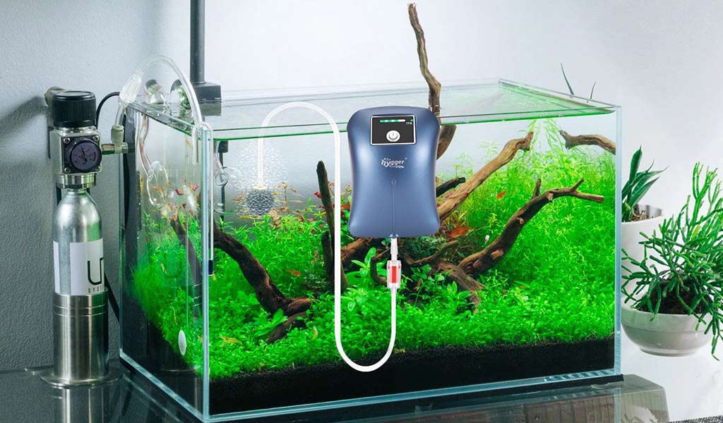 Fish bowl aerator outlet