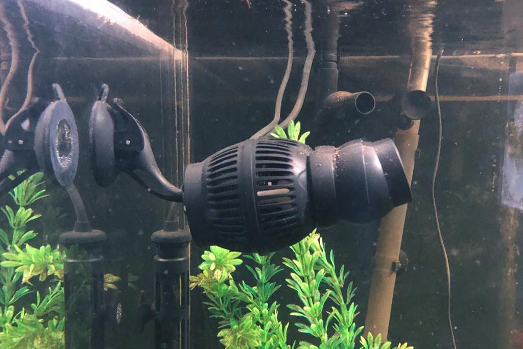 powerhead for big tank