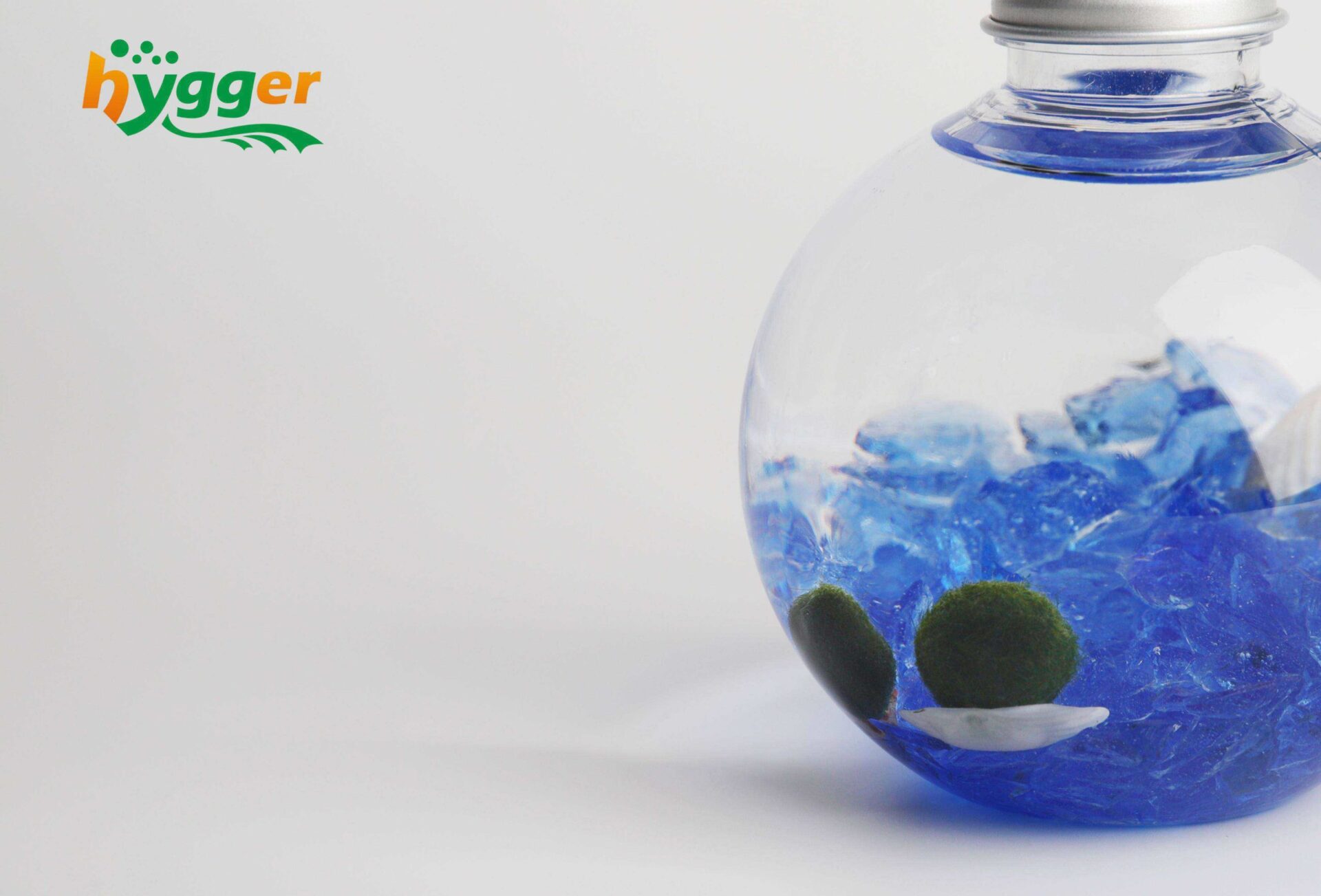 The Easiest Aquarium Marimo Moss Ball Terrarium - Hygger