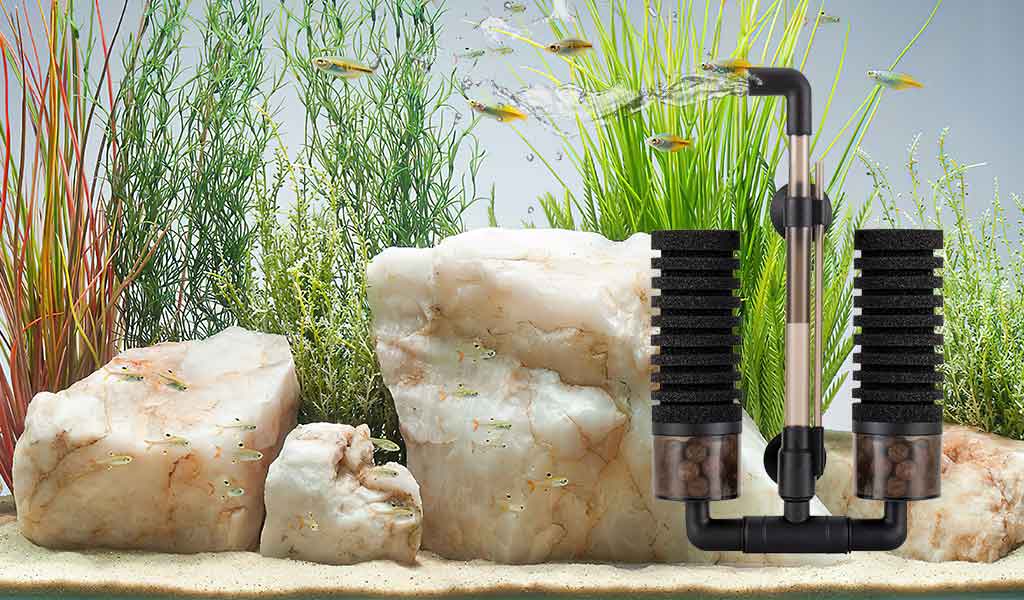how sponge filter work