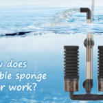 How Does Double Sponge Filter Work