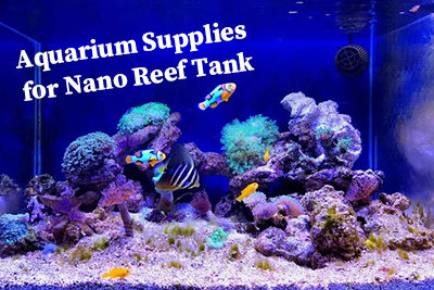 Aquarium Supplies for Nano Reef Tank