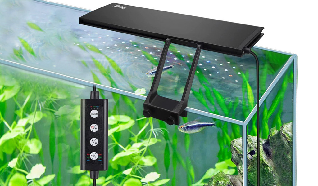 Aquarium Supplies for Tank