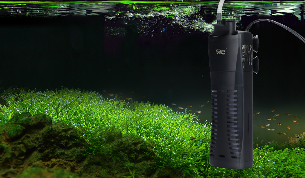 Aquarium Supplies