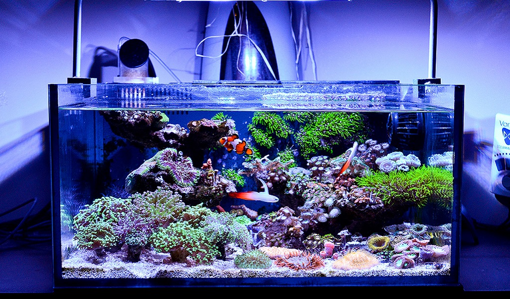 Supplies for Nano Tank