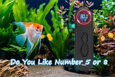 Do You Like Number 5 or 8