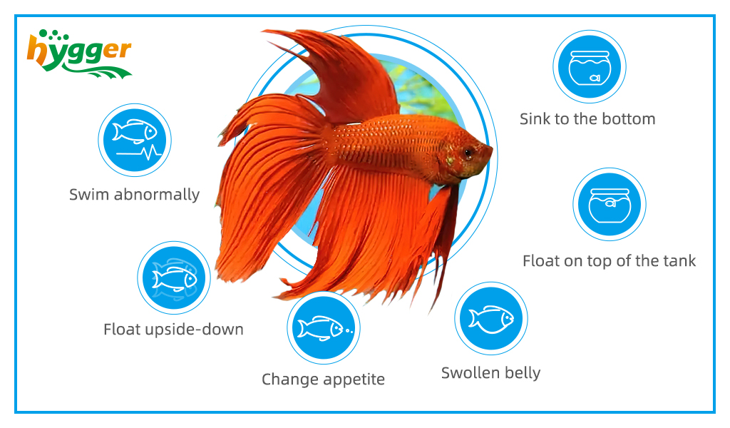 swim bladder disease