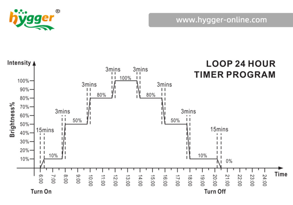 Hygger 999 light diagram