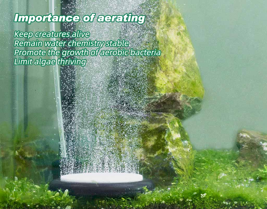 aerating aquariums