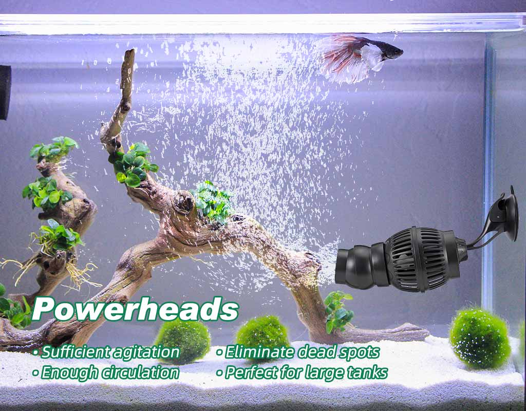 aerated fish tank