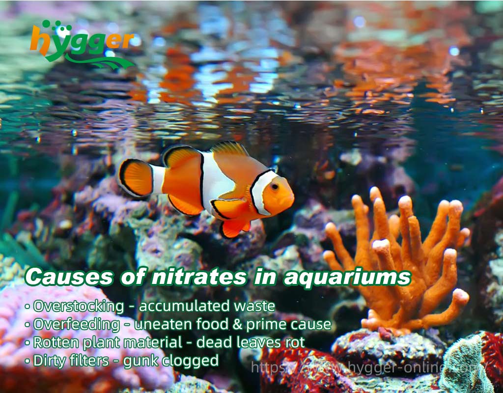 aquarium lower nitrates