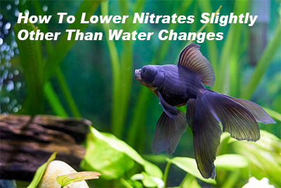How To Lower Nitrates Slightly Other Than Water Changes