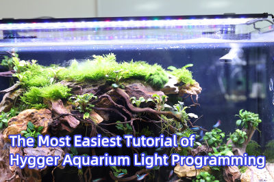 The Most Easiest Tutorial of Hygger Aquarium Light Programming