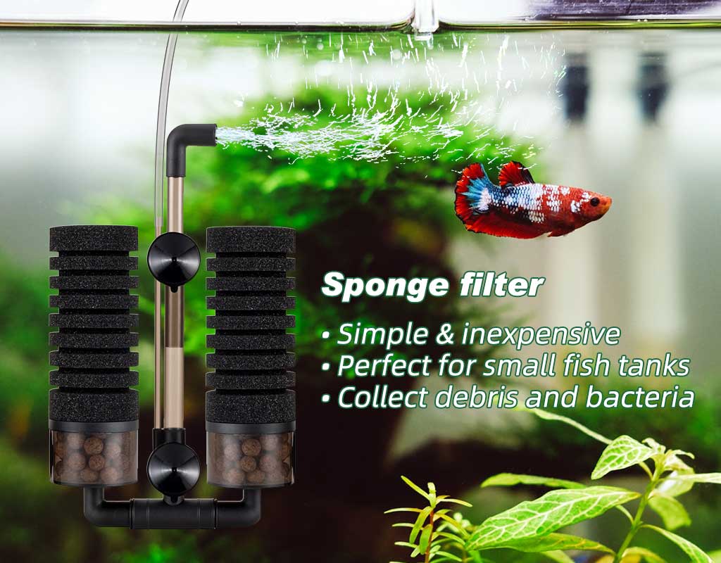 Sponge filter