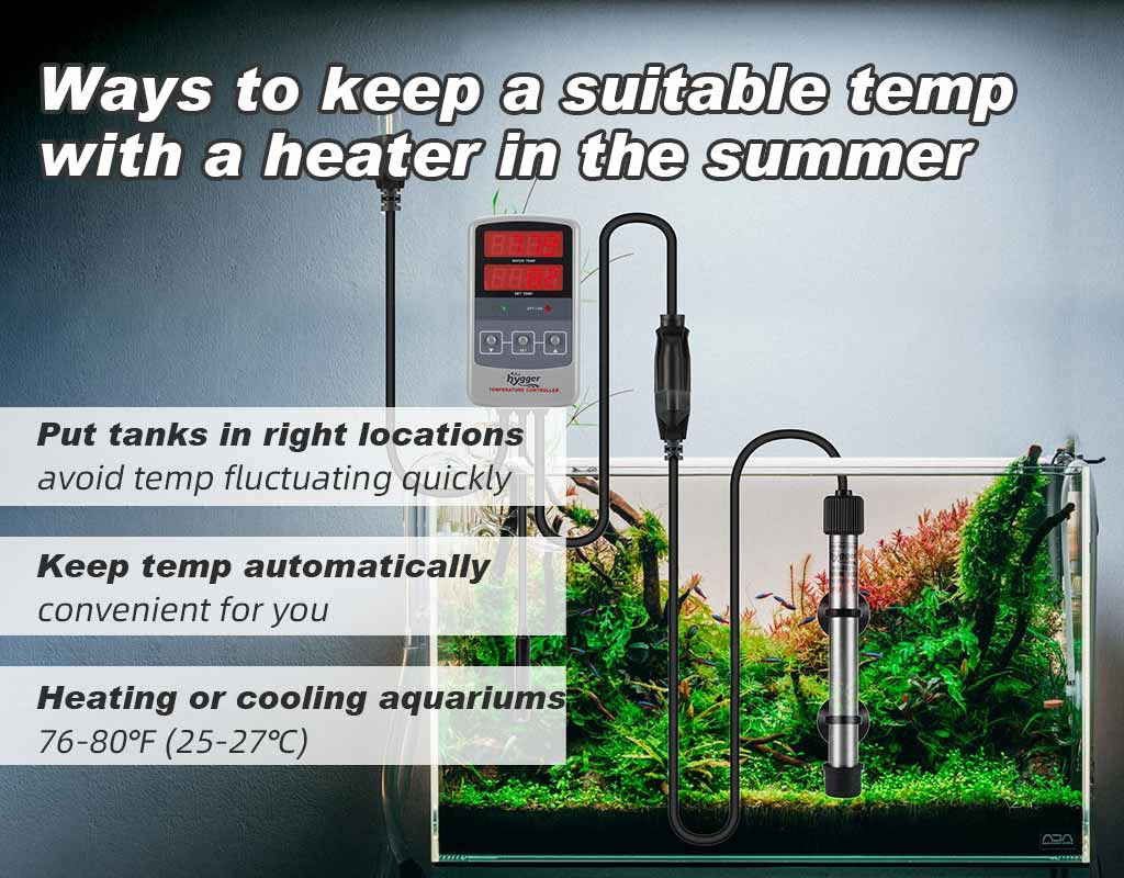 does heater necessary in aquarium