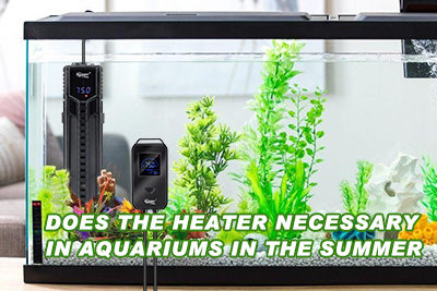 Does the Heater Necessary in Aquariums in the Summer