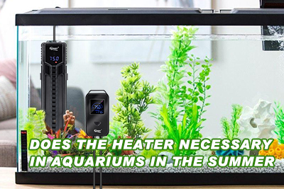 aquarium heater in the summer