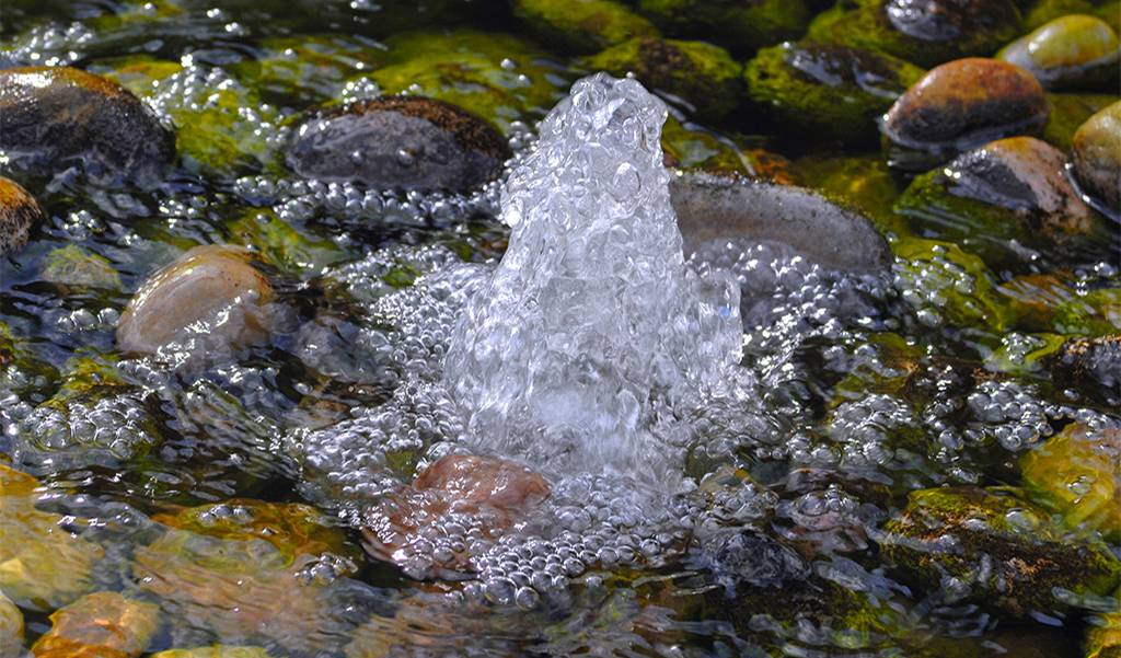 aquarium water