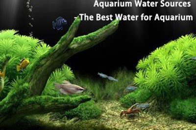 Aquarium Water Sources – The Best Water for Aquarium