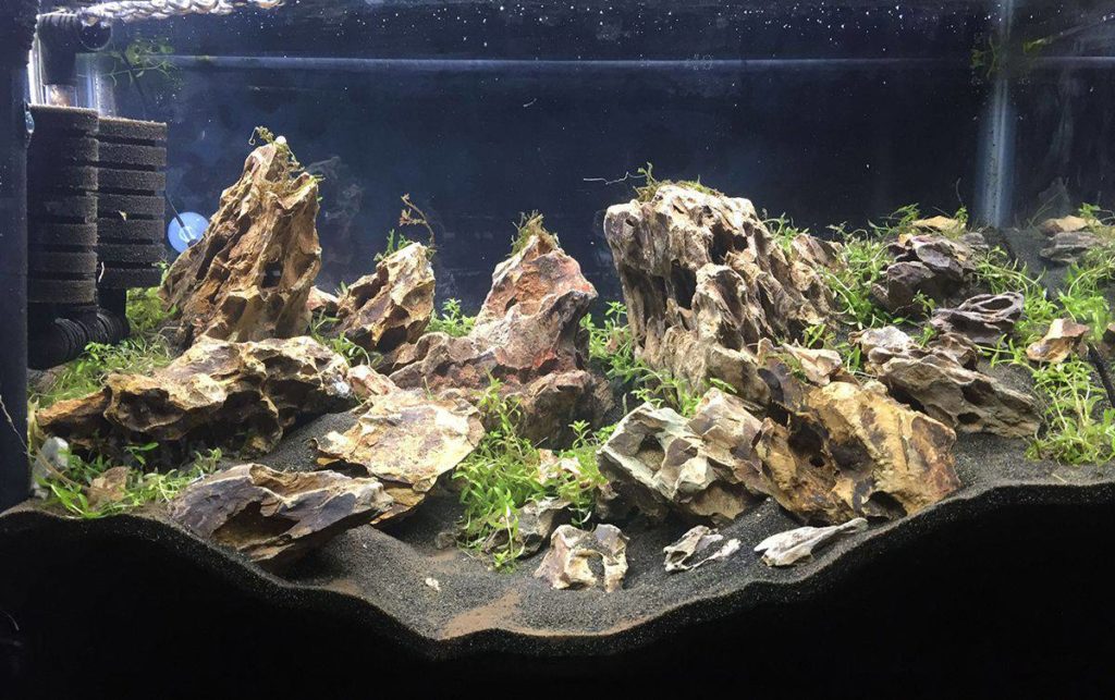 Build Aquarium Safely - What Rocks Can be Put in Aquarium
