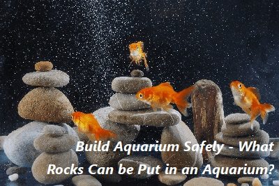 Build Aquarium Safely – What Rocks Can be Put in Aquarium