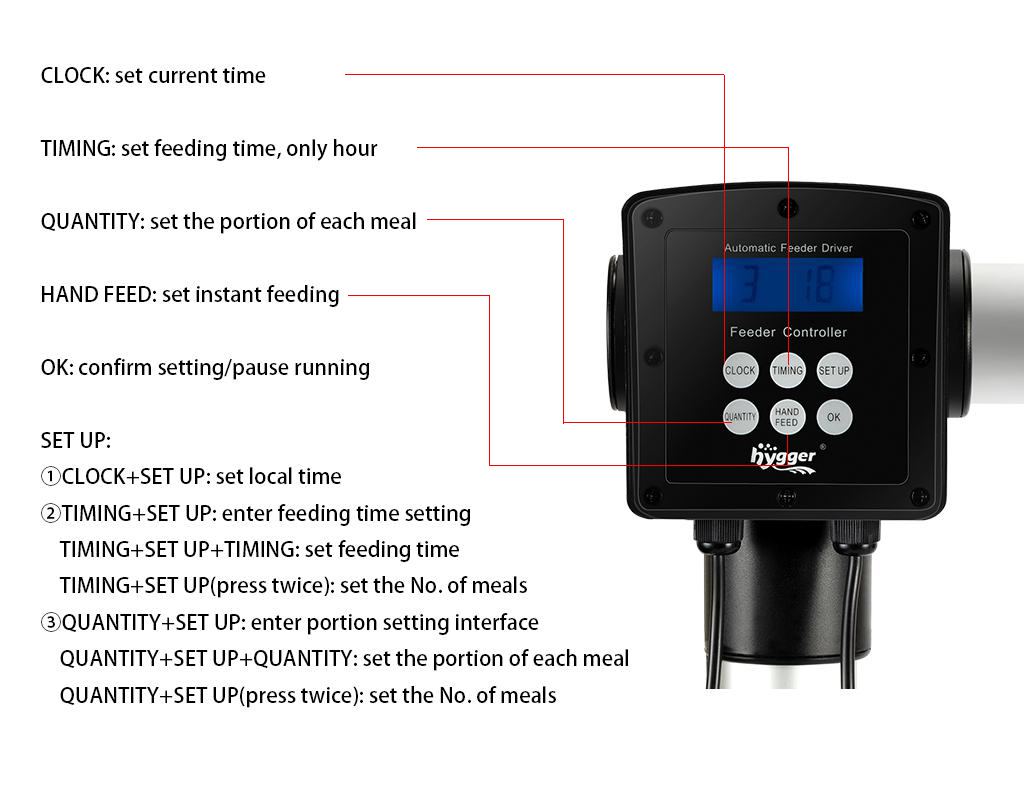 Easy Tricks to Program Fish Feeder for Auto Feeding - Hygger