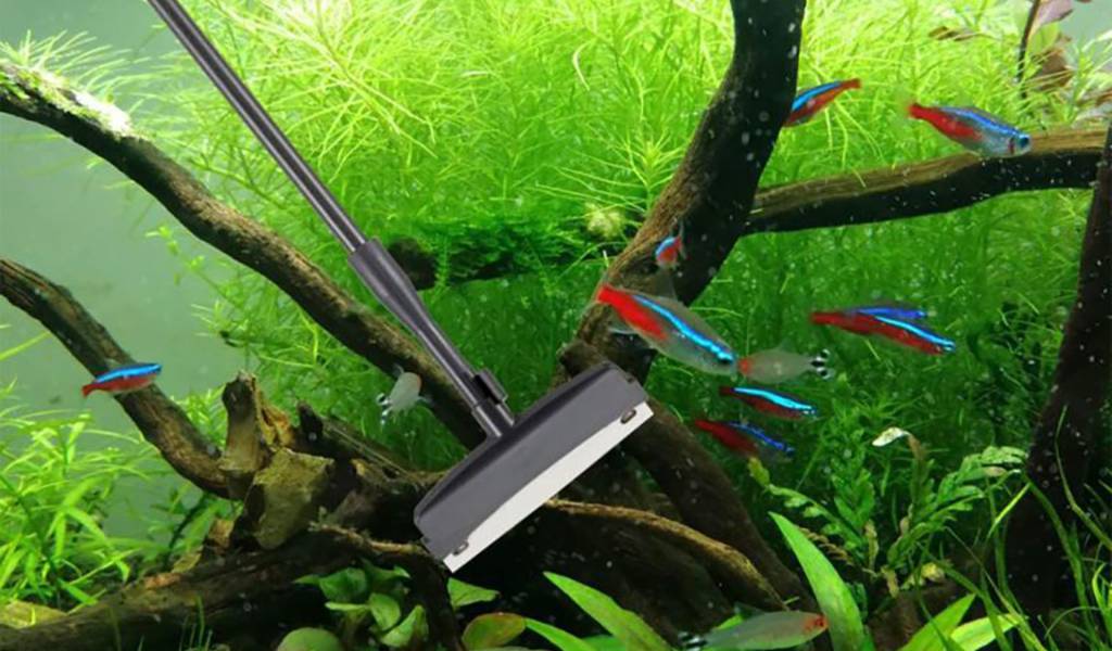 How to Clean the Inside Glass of an Aquarium hygger