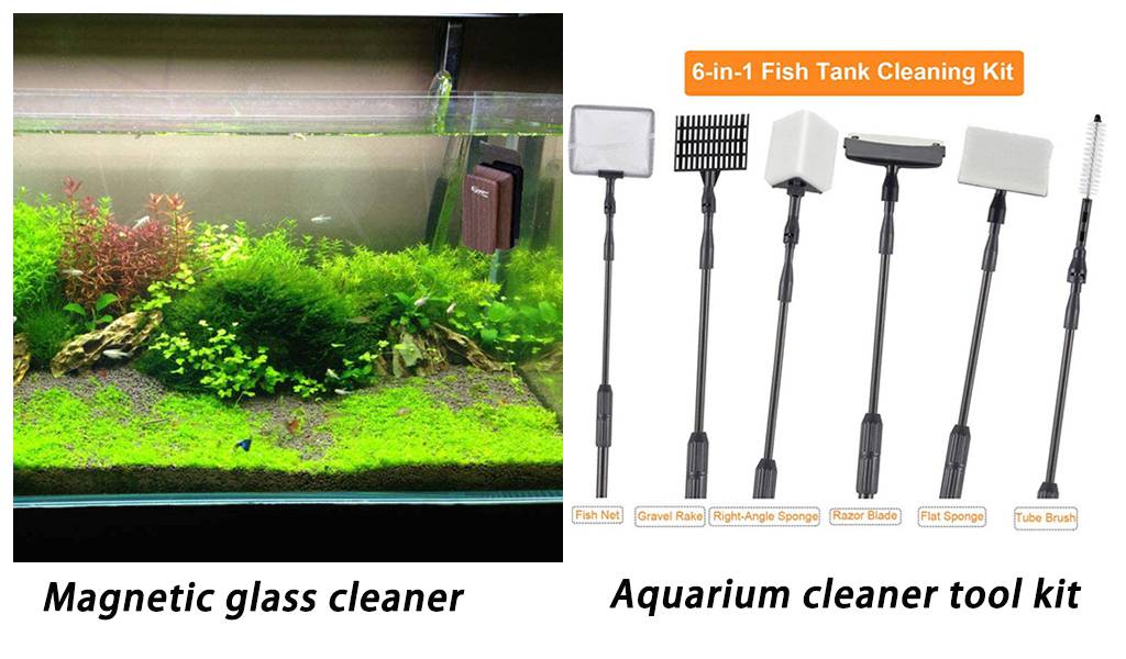 How to Clean the Inside Glass of an Aquarium - hygger