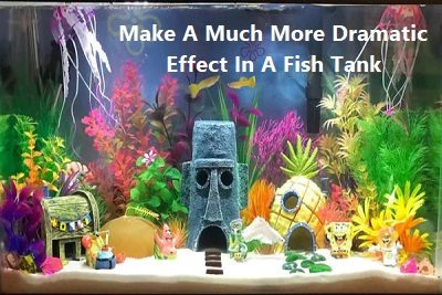 Make A Much More Dramatic Effect In A Fish Tank