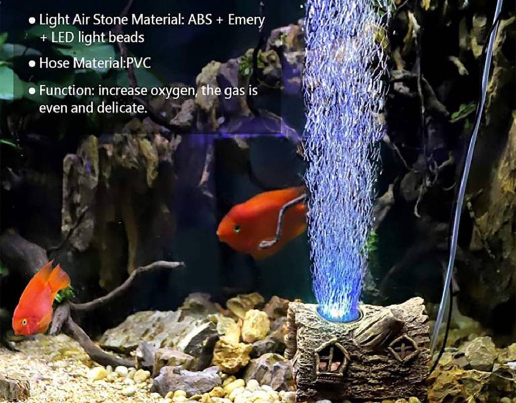 fish tank ideas of decoration