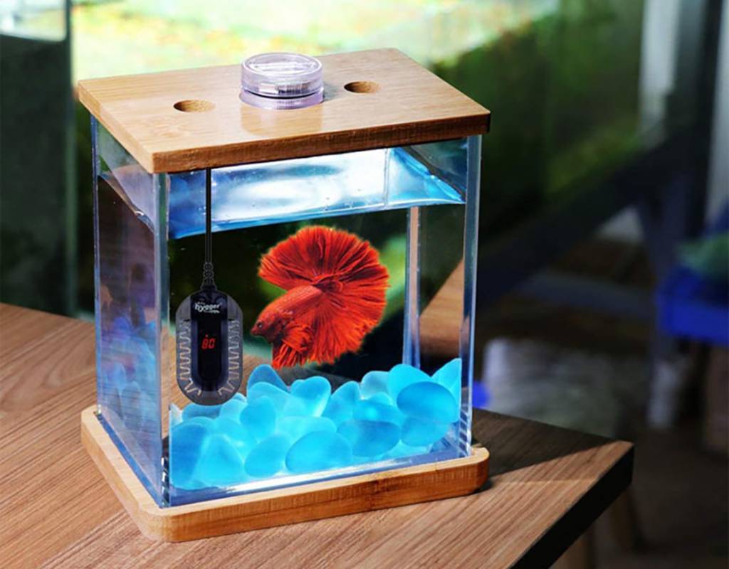 Tiny best sale tanks aquarium