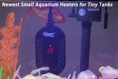 Newest Small Aquarium Heaters for Tiny Tanks