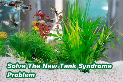 Solve The New Tank Syndrome Problem